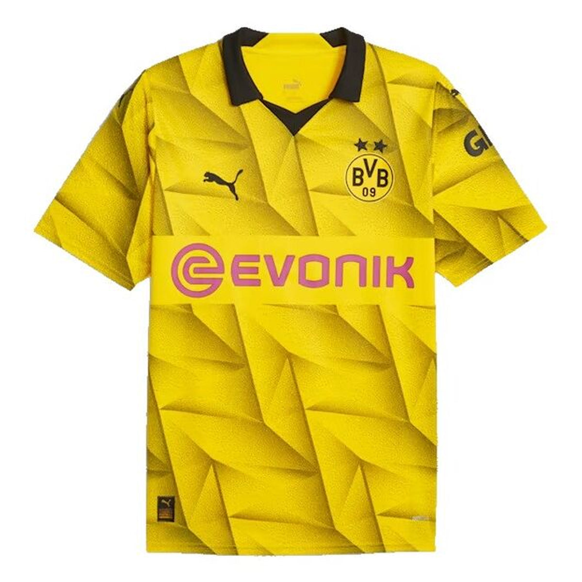 Borussia Dortmund Adult 2023 24 Third Jersey Weston Corporation