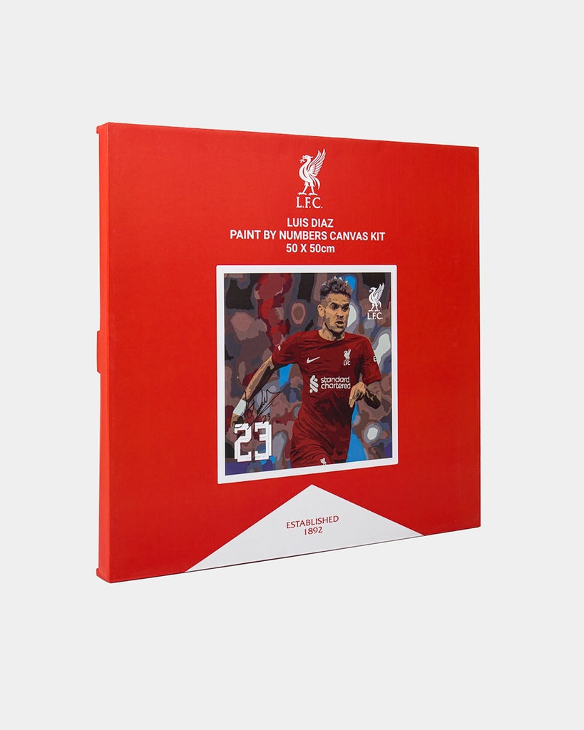 LFC Diaz Paint By Numbers