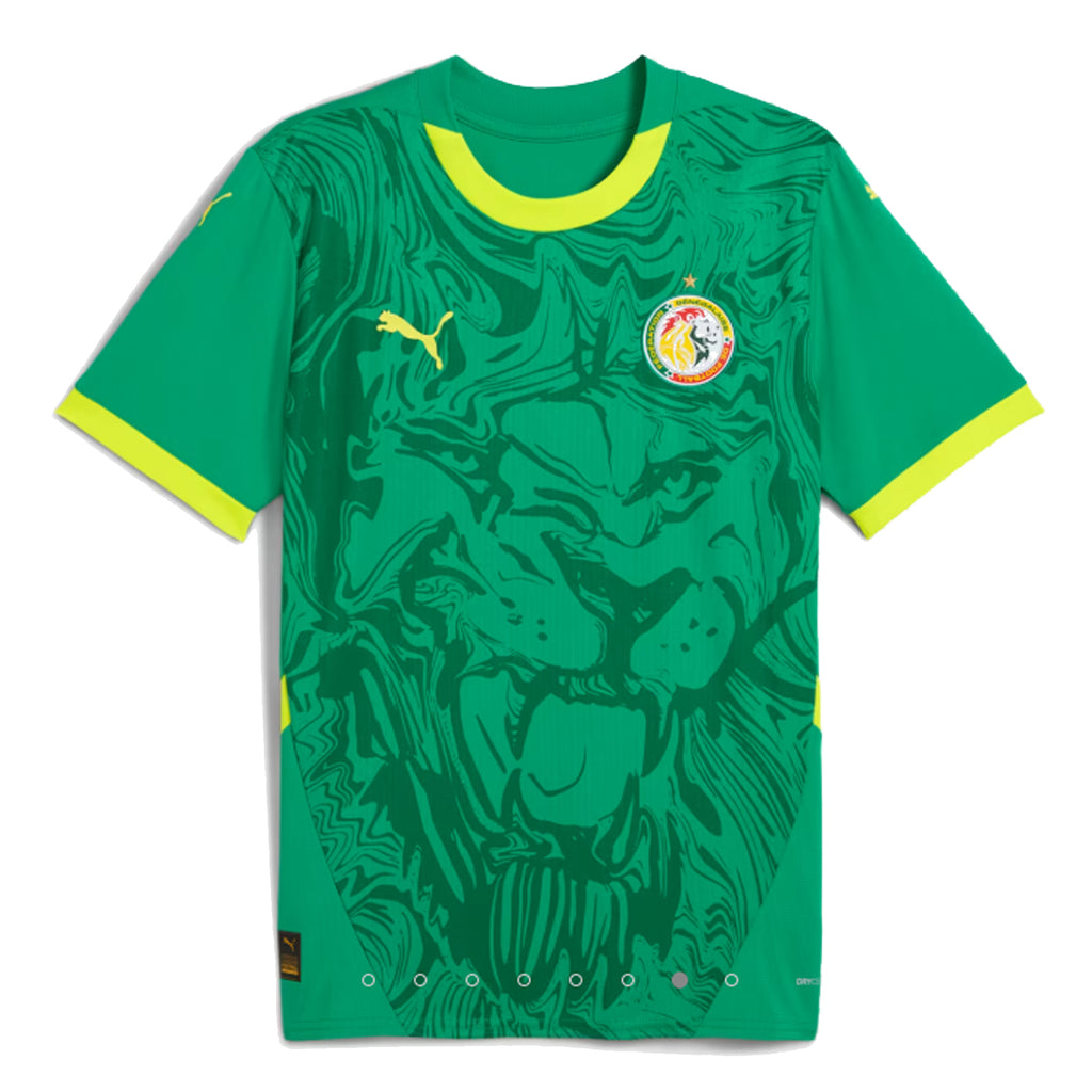 Senegal Adult 2025 Away Jersey