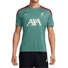 Liverpool FC Adult 2024/25 Strike SS Top